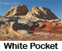 White Pocket