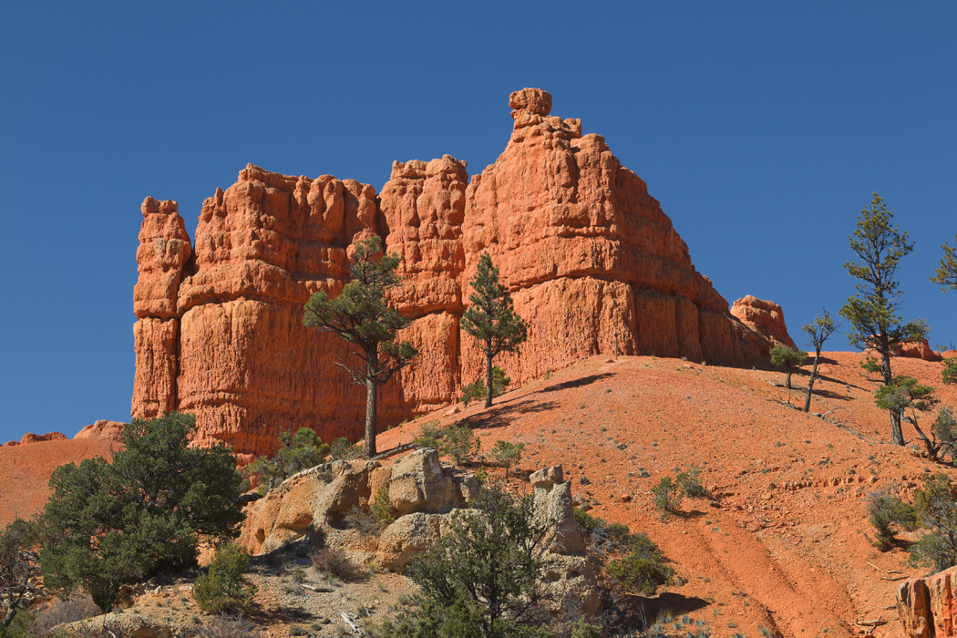 Red Canyon #1