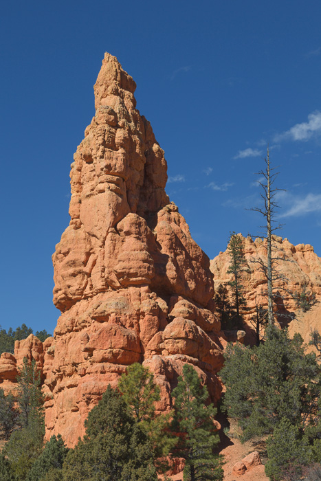 Red Canyon #4