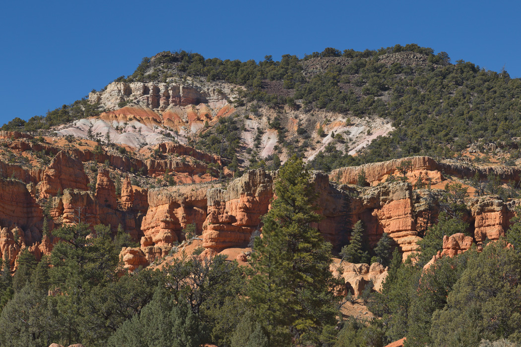 Red Canyon #5