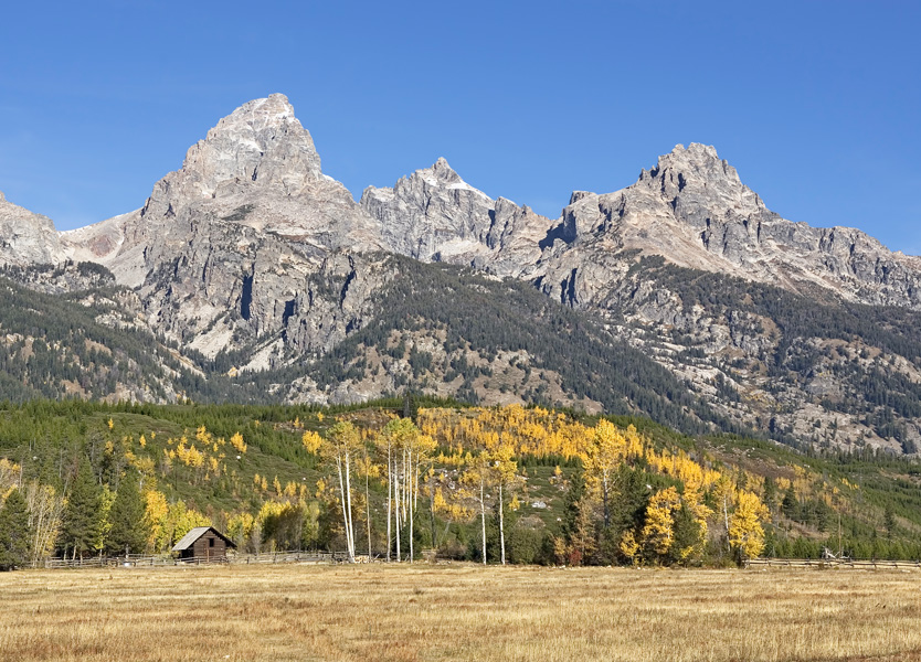 Gold in Jackson Hole