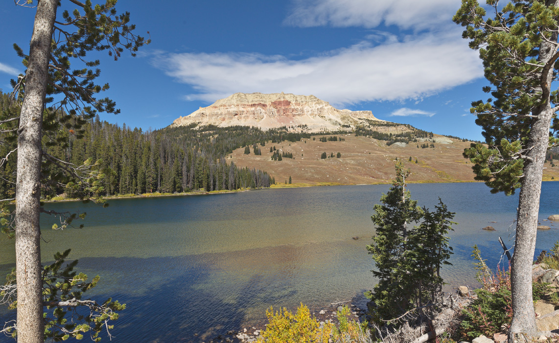 beartooth butte